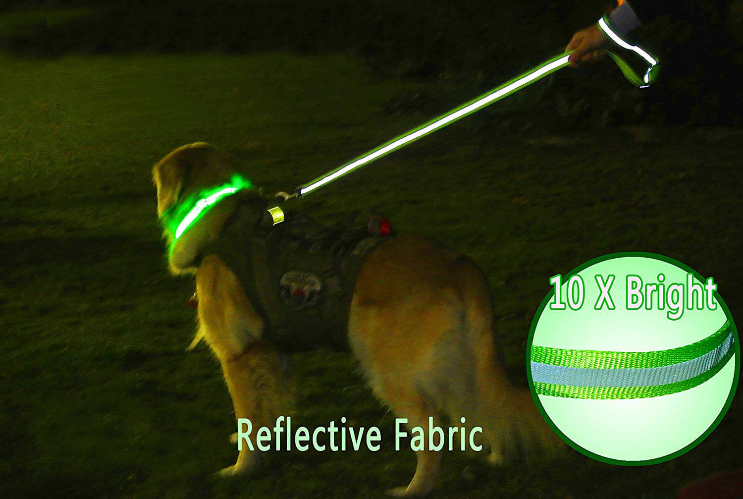 LED Reflective Dog Leash (8) LED Reflective Dog Leash (8)