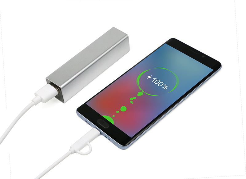 2 in 1 Fast Charging USB Data Cable
