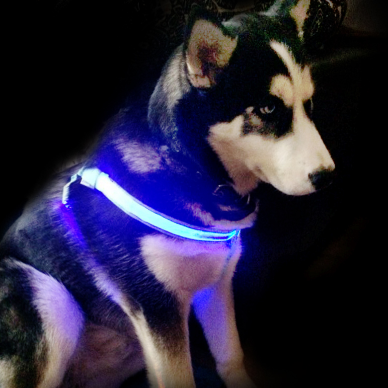 Rechargeable Glowing LED Pet Dog Cat Harness Safety Leash