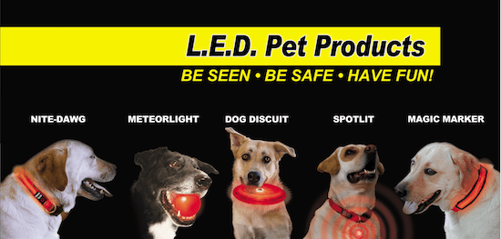 USB Rechargeable Waterproof dog collar (9)