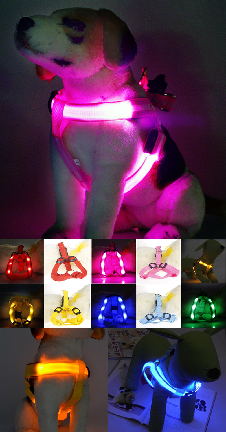 MIC8 Pet Harness LED