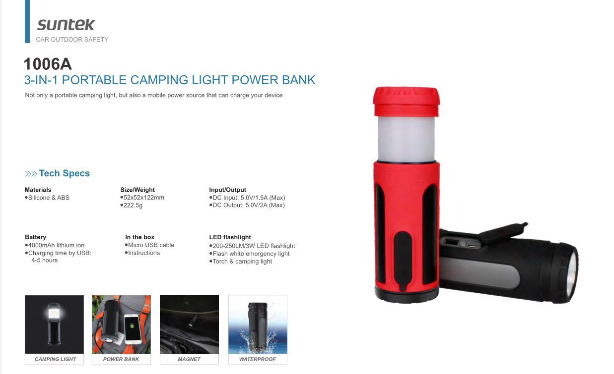 Portable camping light (10)