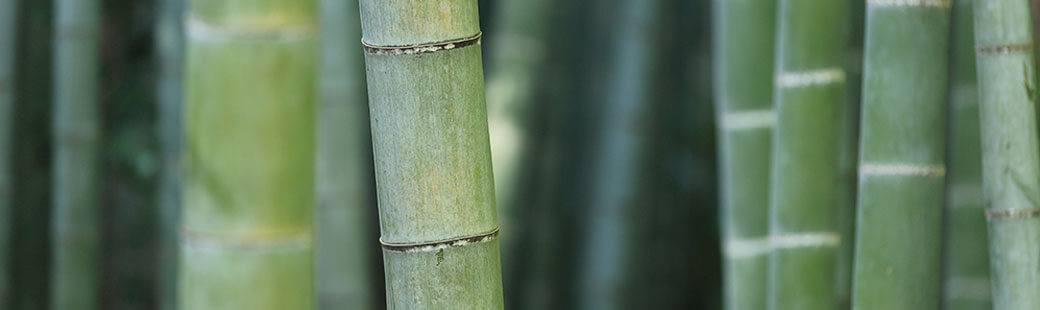 bamboo lanyard LD (8)