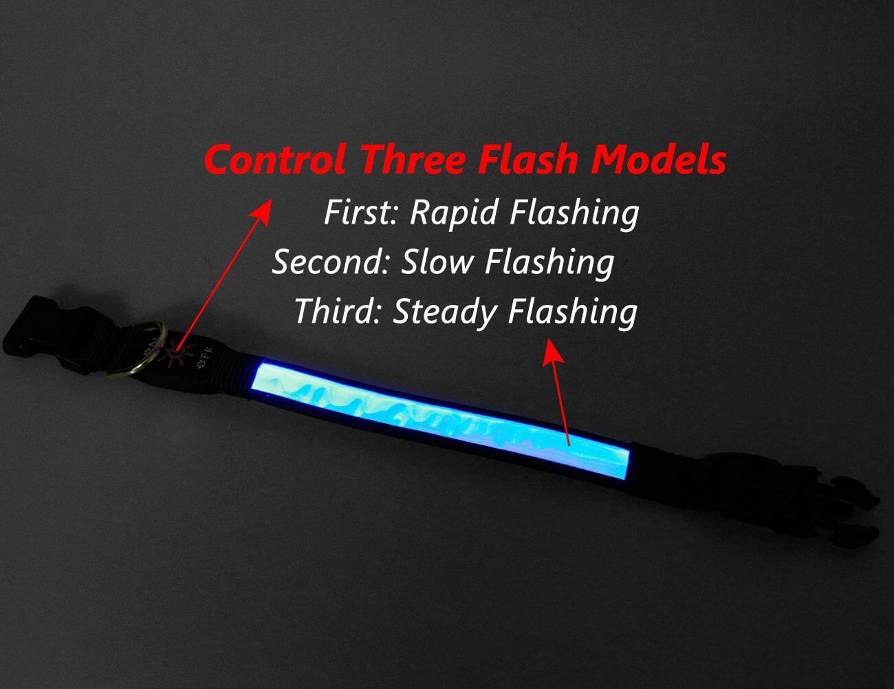 USB Rechargeable Waterproof dog collar (7)